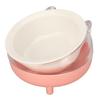 Cat Bowl Prevent Slip Dishwasher Microwave Safe Ceramic Raised Pet Dish with Tilted Stand for Food Water