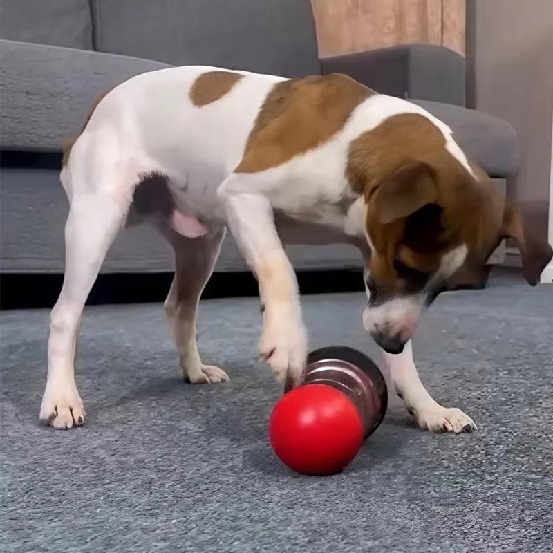 Interactive Wobble Treat Ball - Slow Feeder Puzzle Toy for Dogs & Cats - IQ Training Toy