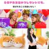 ORIJIRI Shiba Inu Stuffed Animal, Cute, Huggable Pillow, Cushion, Dog, Soft Stuffed Animal, Round, Fluffy, 35cm