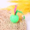 Mixed Plastic Golf Ball, 10 Pieces, with Feathers, Interactive Kitten Toy, Pet Supplies