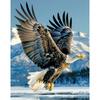 5d DIY Алмазная картина, вышивка крестом, животное, орел, алмазная вышивка, мозаика, полный круглый дрель, домашний декор, искусство