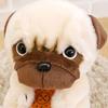 Sun Arrow Potte Pug Plush K-8205