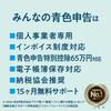 Everyone's Blue Tax Return 24: Invoice System Compatible Version