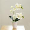 Яркая искусственная орхидея бонсай в горшке Real Touch искусственная орхидея цветочный сад украшение дома