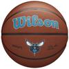 Wilson Мяч Team Alliance Charlotte Hornets, баскетбольный унисекс коричневого цвета