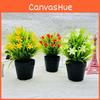 30cm Artificial Orchid Green Plant Plastic Pot For Hotel Window Showcase Decor