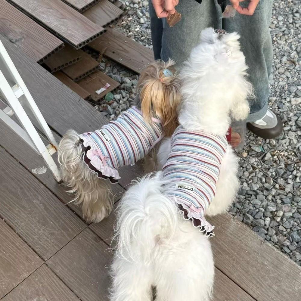 Cute Style Summer Dog Dress Soft Thin Lace Dog Dresses New Teddy Dog Skirt for Small Dogs