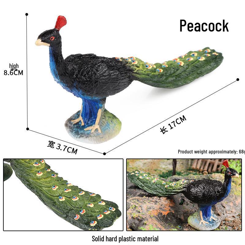 Wild Animal Simulation: Flying Parrot & Peacock Model Toy Ornament for Kids
