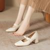 High Heeled Shoes for Women In the Spring and Summer of 2025 Thick Heel New Style Square Toe Mary Jane Shoes