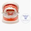Ортодонтические брекеты, прозрачный тренажер для выравнивания зубов Smile, силиконовый фиксатор зубов, каппы, брекеты, лоток для зубов