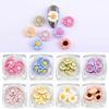 Nail Art Color Daisy Flower Parts 8 Types 5p Set (W9F7BE2)