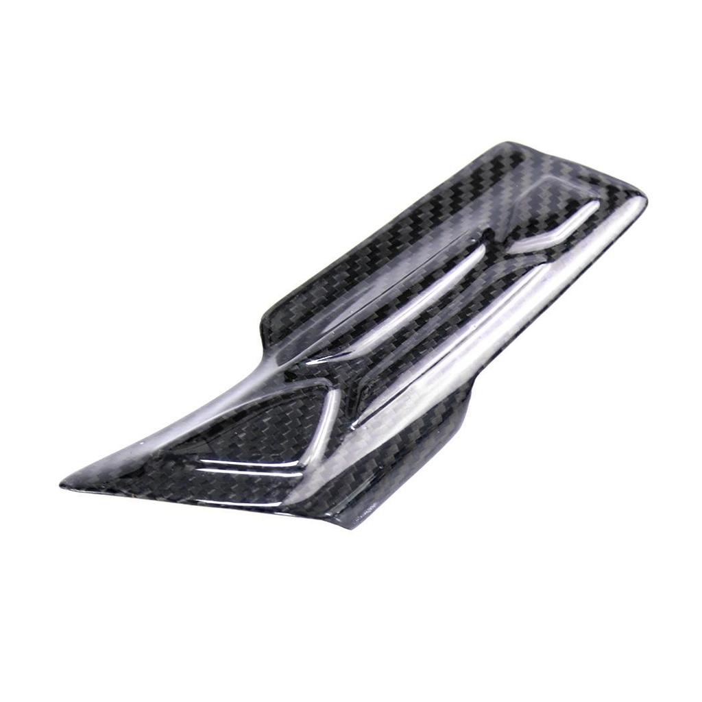 Carbon Fiber Swingarm Cover for BMW S1000RR/S1000R (2015-2018)