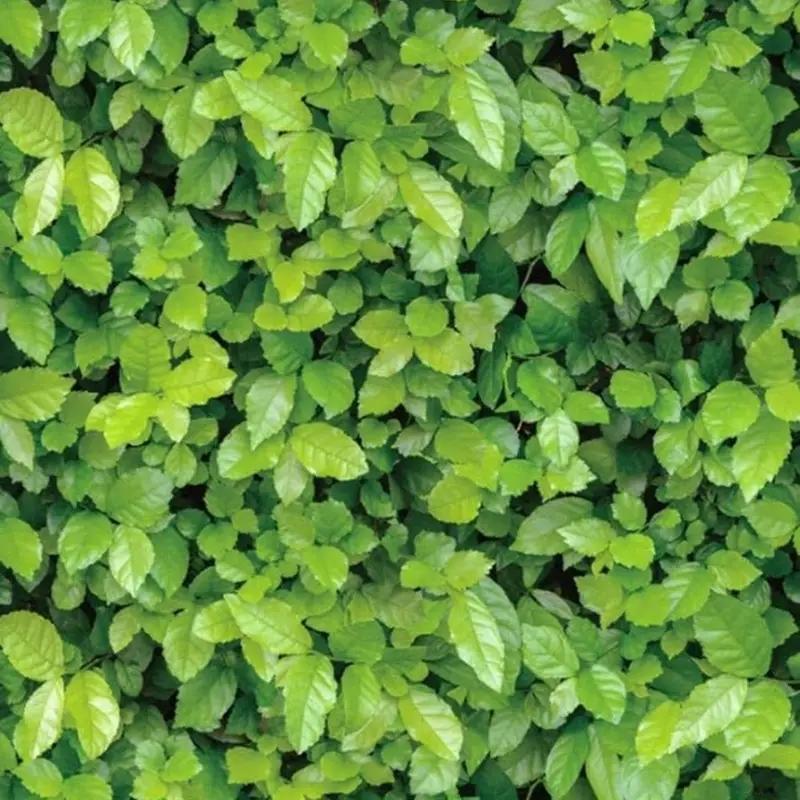 Европейский стиль Самоклеящиеся обои Водонепроницаемые Обои для гостиной Спальни Цветы Контактная бумага Наклейки для украшения дома