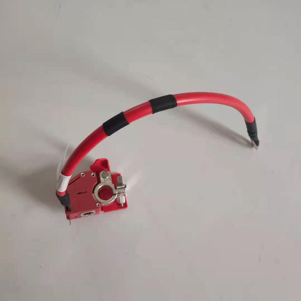Positive Battery Cable for BMW 3 Series G20/G28 (Part 61128796959)
