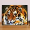 Diamond Embroidery Tiger Diamond Painting Animal Picture of Rhinestone Diamond Mosaic Pattern Crafts