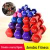 Longchan Frosted Non-slip Dumbbell Set