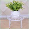 Iron Single-Layer Indoor Flower Stand - Floor-Standing Rack for Pots and Hanging Plants