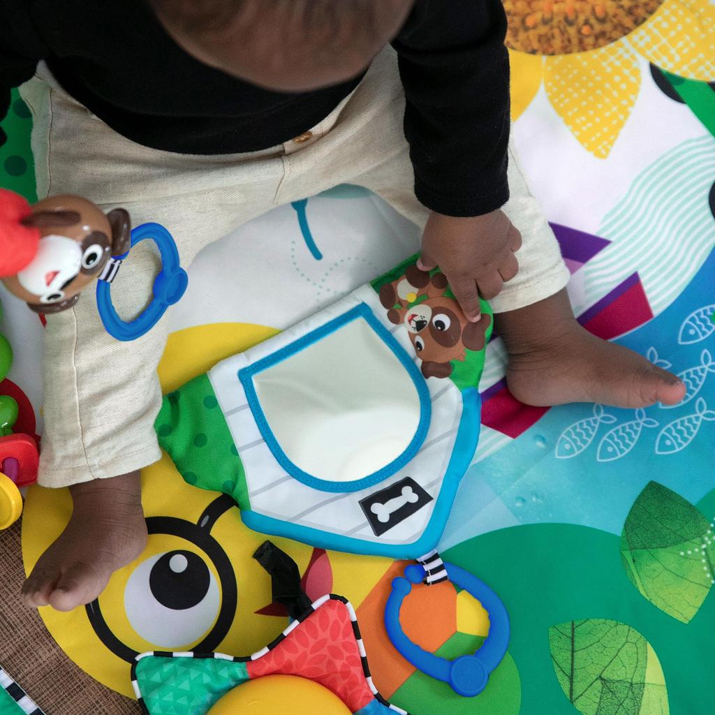 Малыш Эйнштейн Гусеница Друзья Играют В Спортивный Зал & (90575)