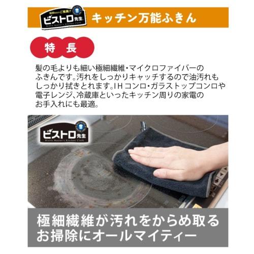 Sanberm Bistro Sensei Kitchen All-Purpose Dishcloths, 2 Dishcloths Per Pack, 5 Bags (K32912)