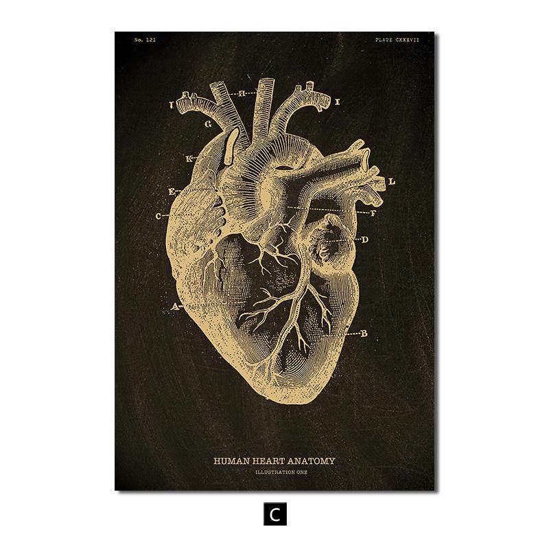 Анатомия человека, винтажный постер, скандинавский холст, художественный принт, золотой скелет, органы, живопись, настенные панно, медицинский домашний декор