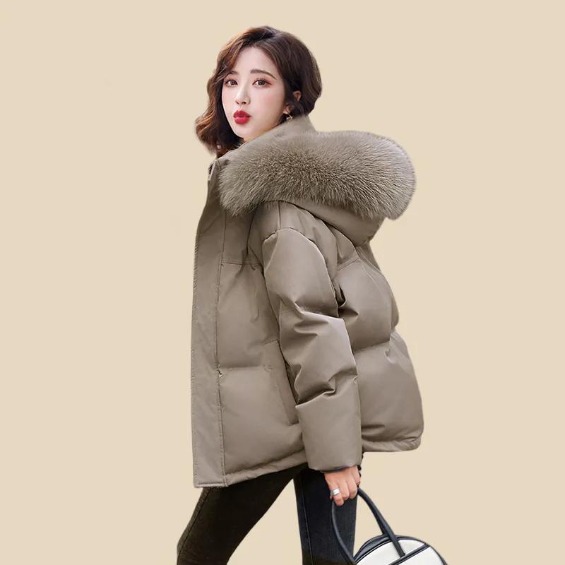 Winter Warm Coats Short Down Coat Outfits Women's Fashion Hooded Jacket Coats