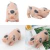 Mini Pig Figure Toy Cute Simulation Soft Silicone Animal Toy Kids Room Decors Reborns Pig Parenting Gift