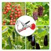 1 Set Plant Tying Machine For Grapes, With 10 Rolls Tapes, Staples, Raspberries, Tomatoes, Vining Vegetables And Flower Planting