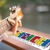 Music Theory Guitar Scales Ruler Diatonic and Mode Guitar Learning Ruler  For Practice