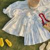 Sweet Girls Summer Dress Butterfly Embroidery Collar Printed Cotton Short Sleeve Dress For Kids