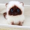 Cute Siamese Cat Plush Toy Soft Stuffed Animal Blue Sequins Eyes Brown White Face Decor Christmas Birthday New Year Present