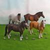 Childrens Pvc Wildlife Horse Figurine With Authentic Design For Playroom Decor