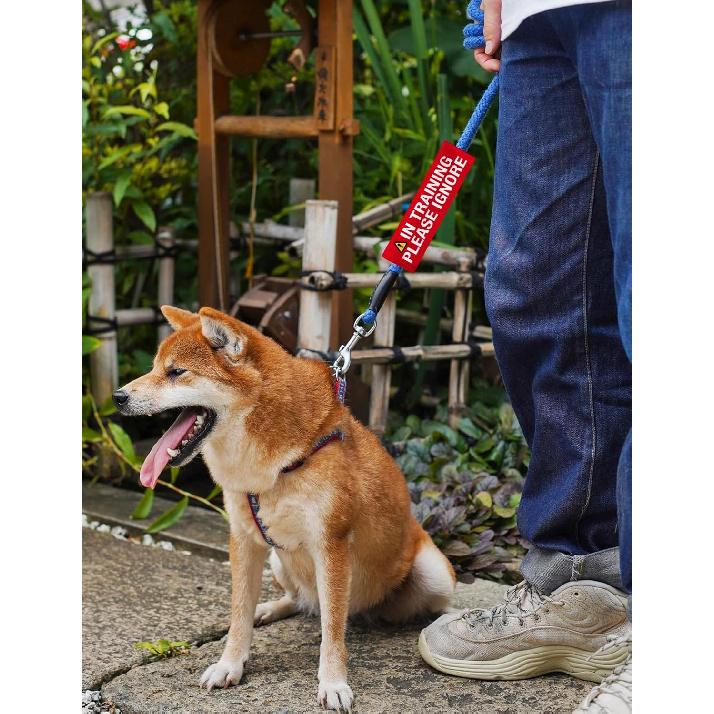 Advivio in Training Please Ignore Funny Dog Leash Sleeve, Service Dog Leash Wrap Alert Hanging ID Patch Tag, for Pet Birthday Gift