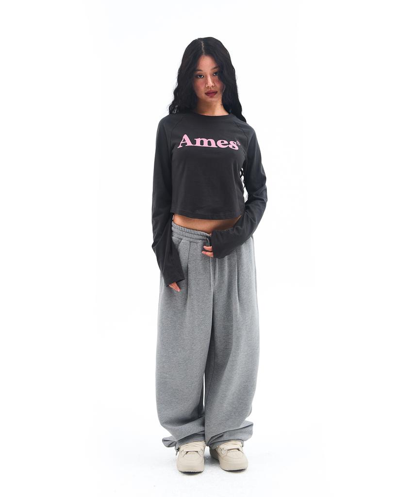 AMES-WORLDWIDE Базовые серые спортивные штаны с маленьким логотипом