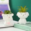 Cute Animal Flower Pot Succulent Pot Ceramics Planter Home Decor Desktop Ornaments Garden Decoration Bonsai Plant Pot