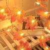 Hanging LED String Light Halloween Pumpkin String Lamp Maple Leaves Garland  Home Decoration