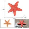 Solid Ocean Animal Figurine Lifelike Realistic Ocean Action Figure  Collection