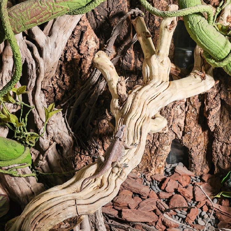 Reptiles Trunk Cave Natural Aesthetic Breeding Driftwood for Reptiles Wood Climbing Habitats Supplies
