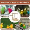 Comfortable Grip Bird Table Training Stand Birds Grinding Perch Holder  Interaction Parrot Toys