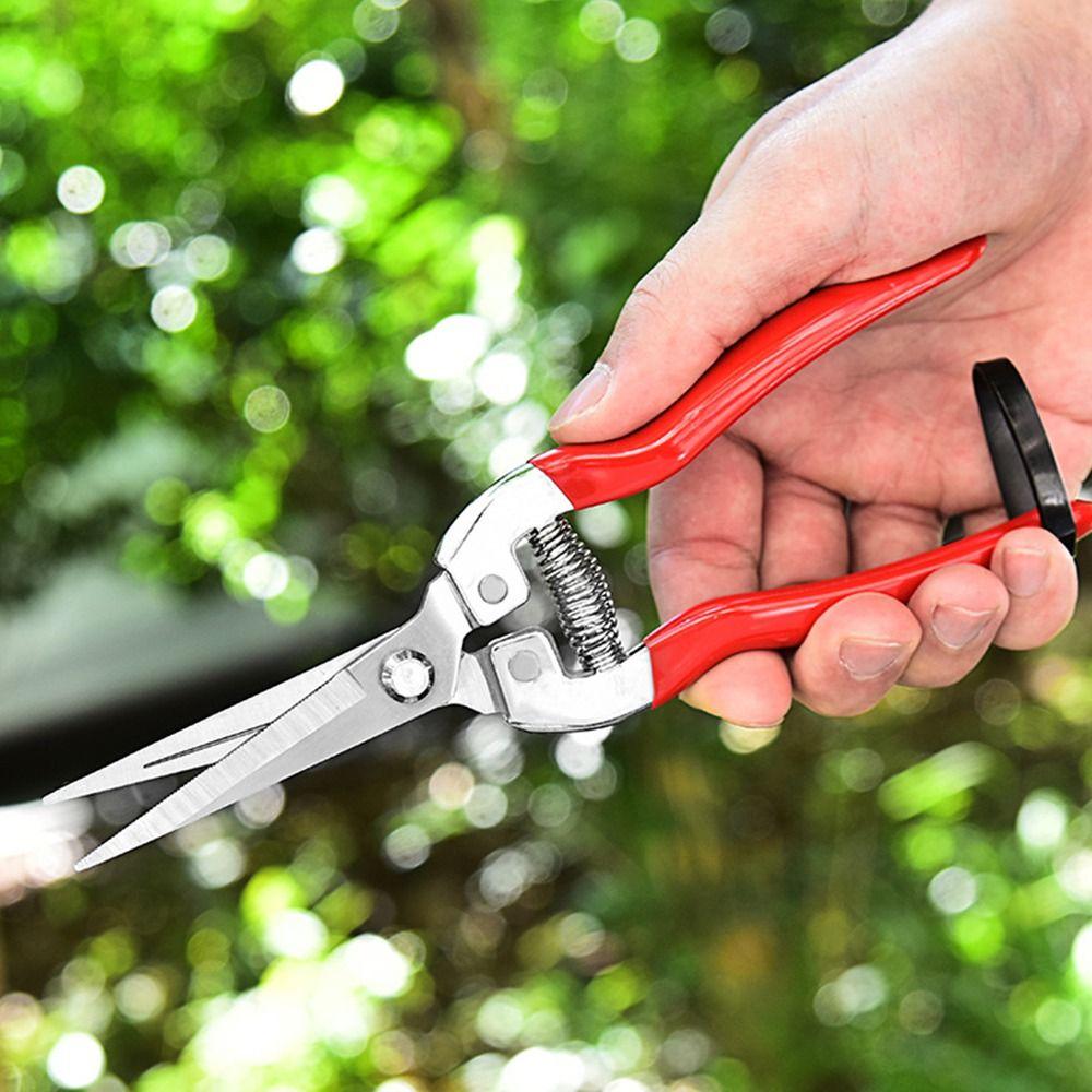 1 шт., ножницы для флориста, садовые ножницы для обрезки деревьев, садовые ножницы с микронаконечниками