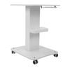 Beauty Instrument Stand Cart 3 Tier Rolling Storage Stand Mobile Cart with Wheel for Spa