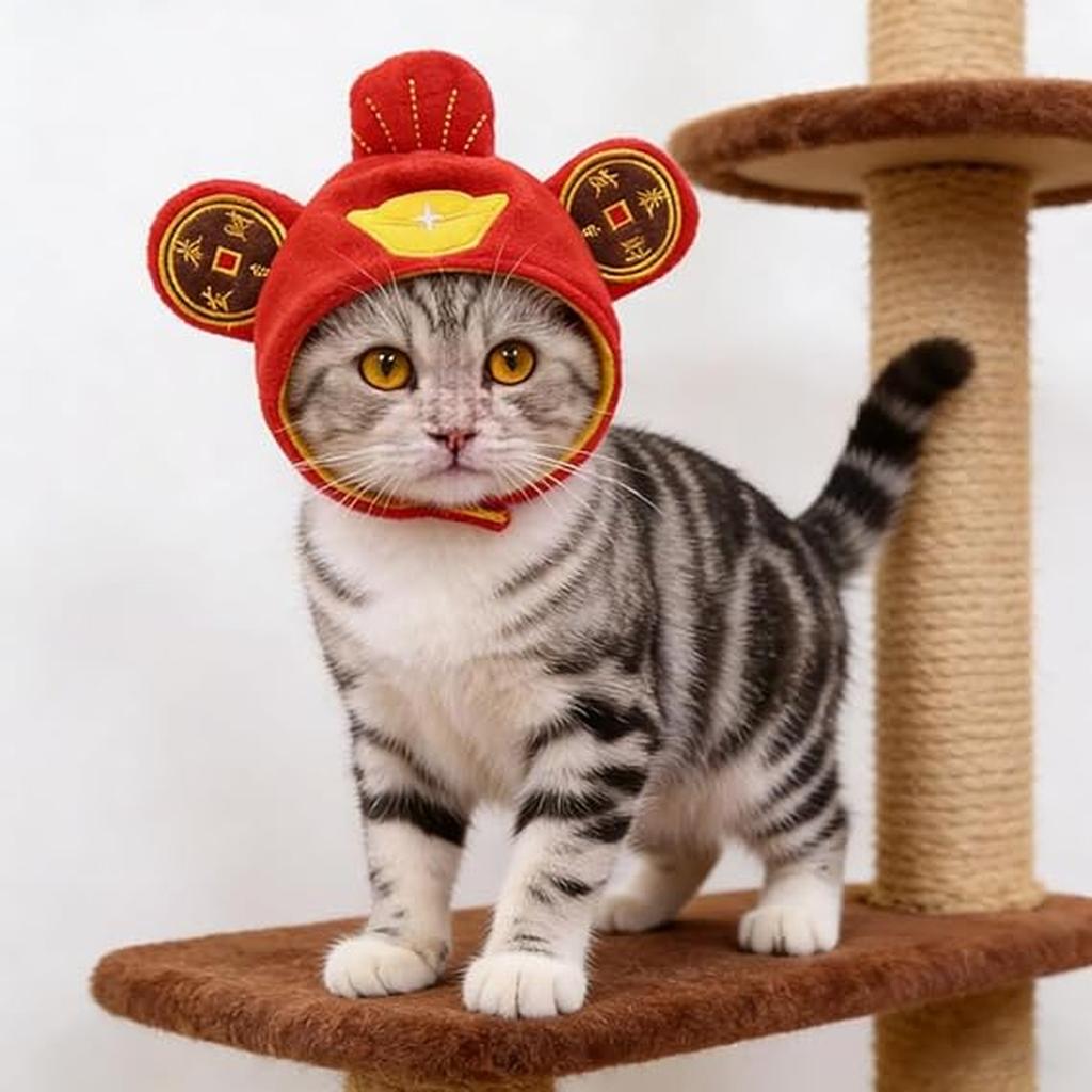 Hat Costume Chinese CAI Shen Hat Chinese New Year for Cats and Small Dogs Puppy Costume Accessory