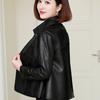 Small Short Genuine Leather Jacket for Women New Spring and Autumn Casual Single Wear Sheepskin Jacket