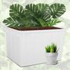 Senyan Large Plastic Water Storage Box
