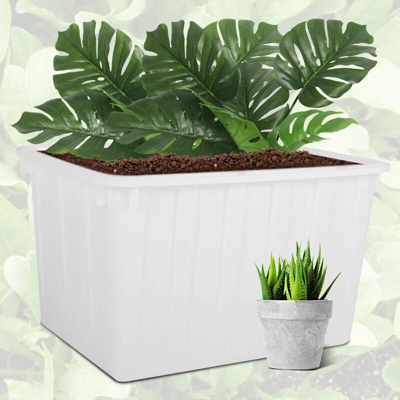 Senyan Large Plastic Water Storage Box
