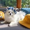 G62 Adjustable Pet Sun Hat with Chin Strap for Small Medium Dogs Cats Outdoor Travel Accessory Gift for Pet Owners