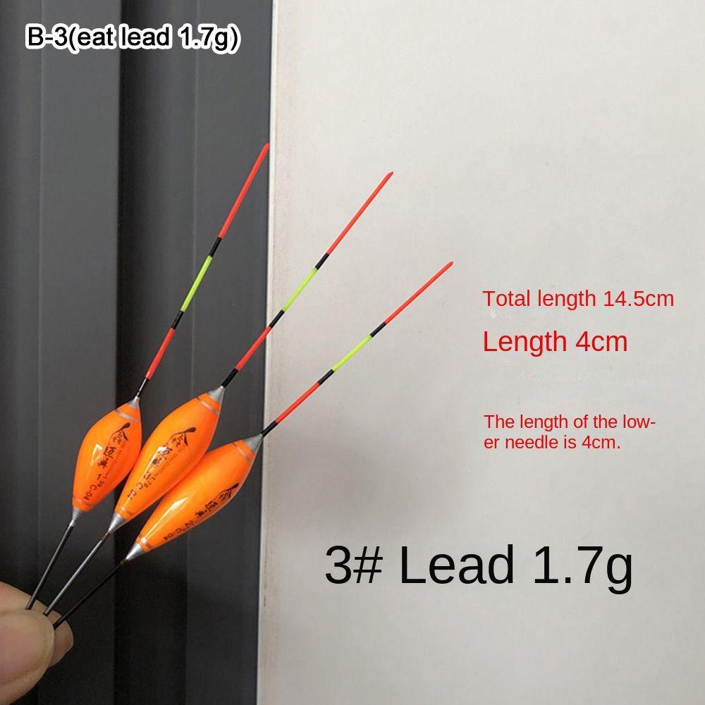 Carp Fishing Float Weight Tail Bobber Rock Fishing Floats New Light Float Ice Fishing