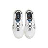 Nike Air Force 1 PLT.AF.ORM LV8 White Metallic Silver Women Sneakers Sail Black DX3199-100