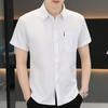 Shirt Men's Versatile Summer Trend Summer Gang Handsome Short-sleeved Ice Silk Shirt Short-sleeved Thin Section of Men's Casual Tops