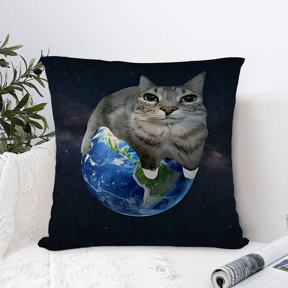 Funny Rainbow Cat Pillow Gift Home Office Decoration Pillow Bedroom Sofa Car Cushion CoverPillow Case