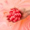 [Lush] Comforter Rose Bath Bomb 150g